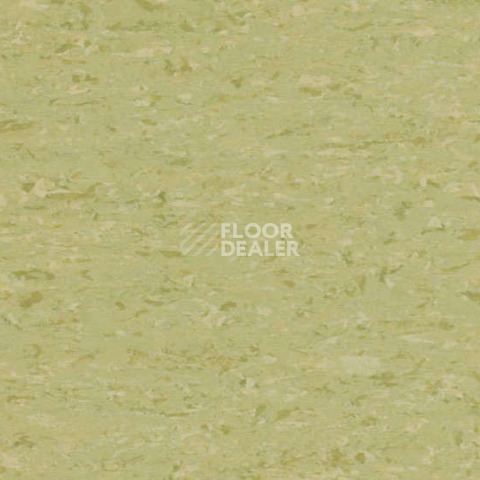 Линолеум Gerflor Mipolam Accord 0327 GARDA фото 1 | FLOORDEALER